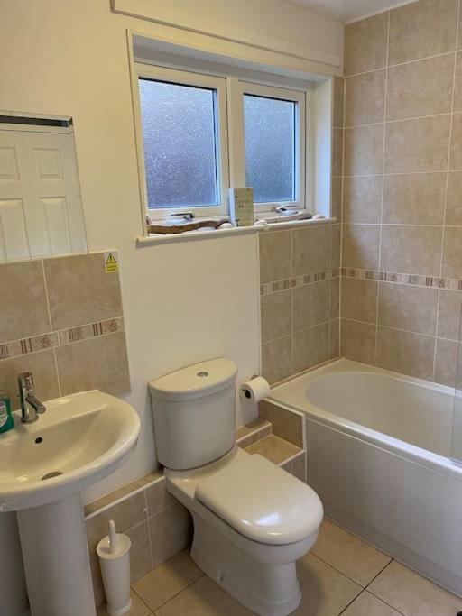 3 Bedroom Lodge With Hot Tub On Lovely Quiet Holiday Park In Cornwall Gunnislake Exterior foto